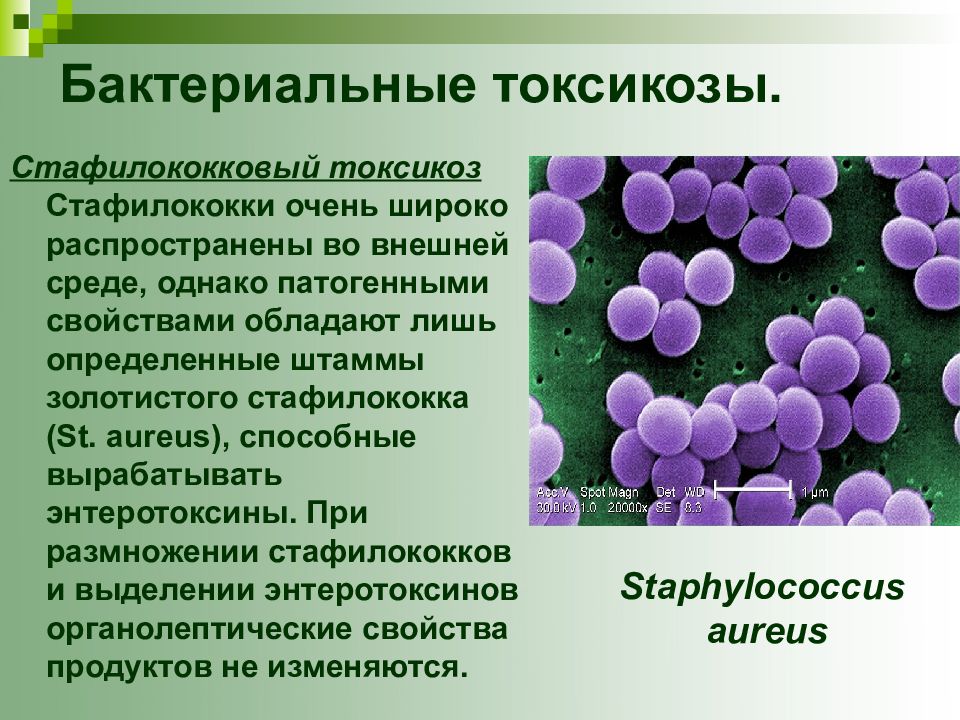 Микробные пищевые отравления презентация