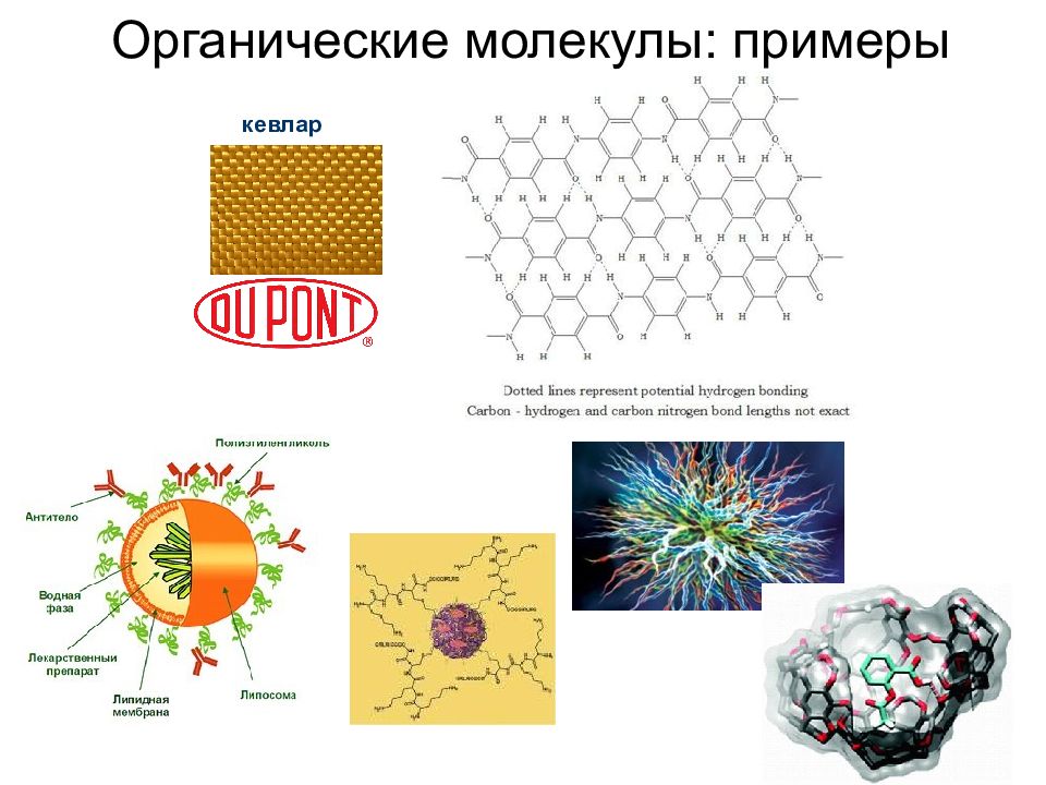 Органические молекулы. Органические молекулы примеры. Примеры молекул. Виды органических молекул. Молекулы органических веществ примеры.