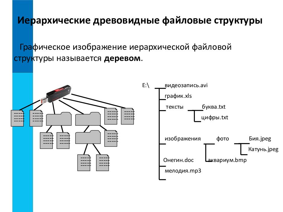 Файлы и файловые структуры