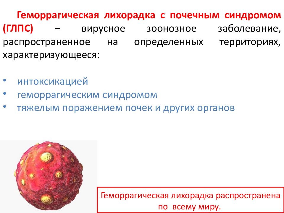 Геморрагические лихорадки презентация