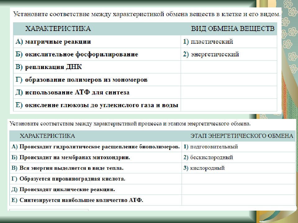 Тест на соответствие биология. Тест по теме обмен веществ. Задания на энергетический обмен ЕГЭ биология. Тесты по энергетическому обмену 10 класс по биологии из сборника.