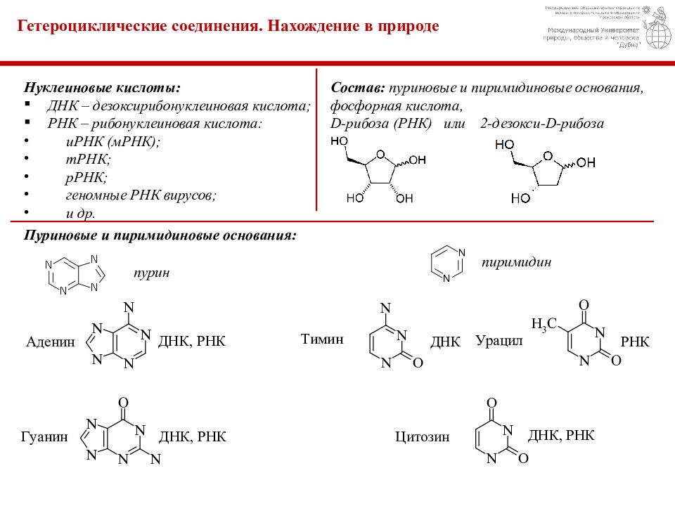 Презентация азотсодержащие гетероциклические соединения нуклеиновые кислоты