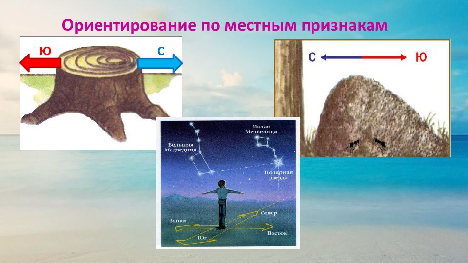 Ориентирование по местным признакам. Ориентируюсь в Крыму по местным природным признакам. Ориентирование по природным признакам картинки. Сообщение на тему ориентирование по местным признакам. Ориентирование по местным природным признакам по звёздам.