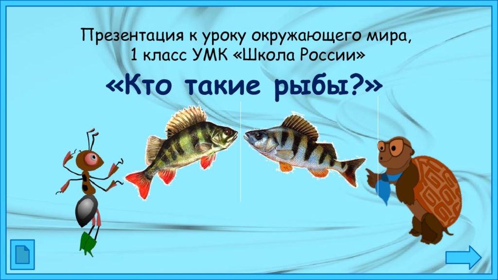Раз два три рыбку. Кто такие рыбы 1 класс. Презентация к уроку рыба. Рыба для презентации. Рыбы презентация 1 класс.