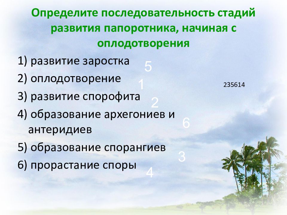 Процесс оплодотворения папоротника схема