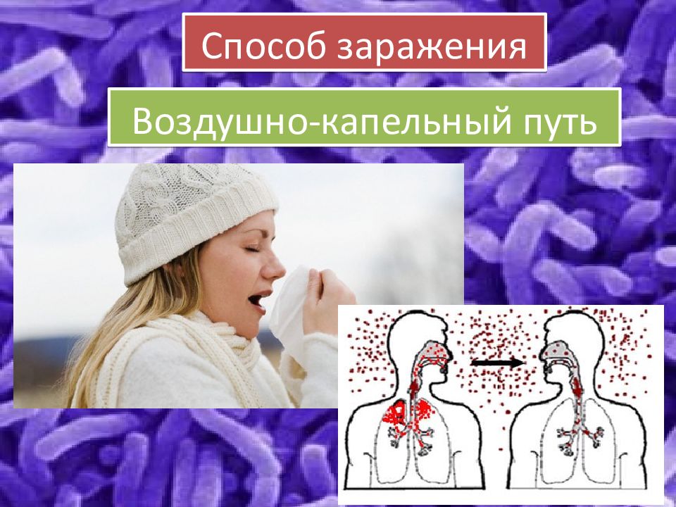 Бешенство воздушно капельным. Воздушно капельный путь заражения. Картинки для презентации на тему инфекционные заболевания. Заражение воздушно-капельным путем. Капельный путь заражения картинки для презентации на тему природа.