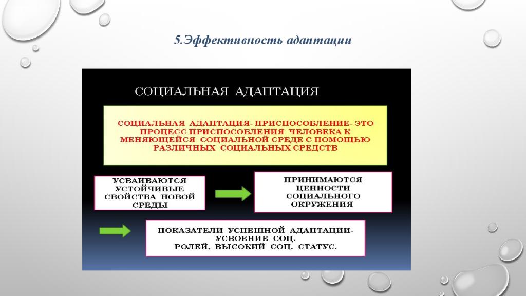 Адаптация это процесс. Эффективность адаптации. От чего зависит эффективность адаптации. Эффективность адаптации зависит от. Оценка эффективности адаптации.