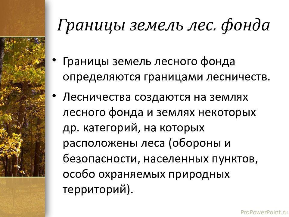 Статьи земель лесного фонда. Земли лесного фонда презентация. Правовой режим земель лесного фонда. Границы земель лесного фонда. Правовой режим земель лесного фонда кратко.