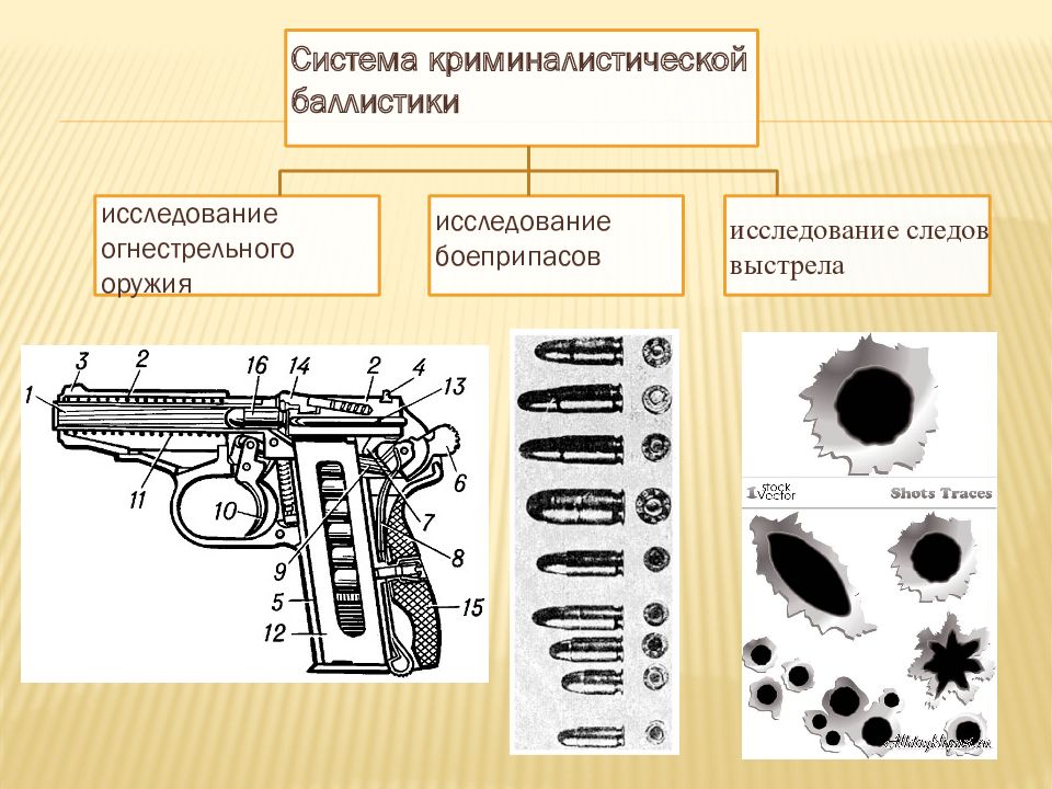 Схема система криминалистического оружиеведения