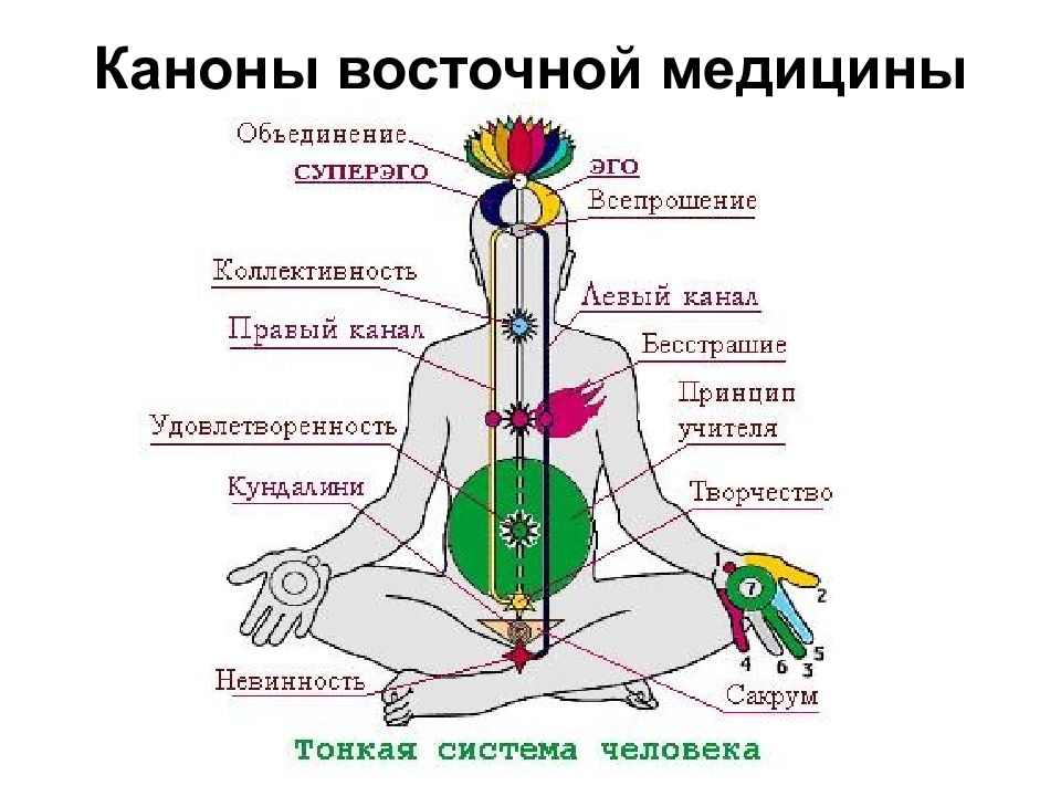 Западная медицина. Методы Восточной медицины. Западная и Восточная медицина. Основные принципы Восточной медицины. Таблица Восточной медицины.