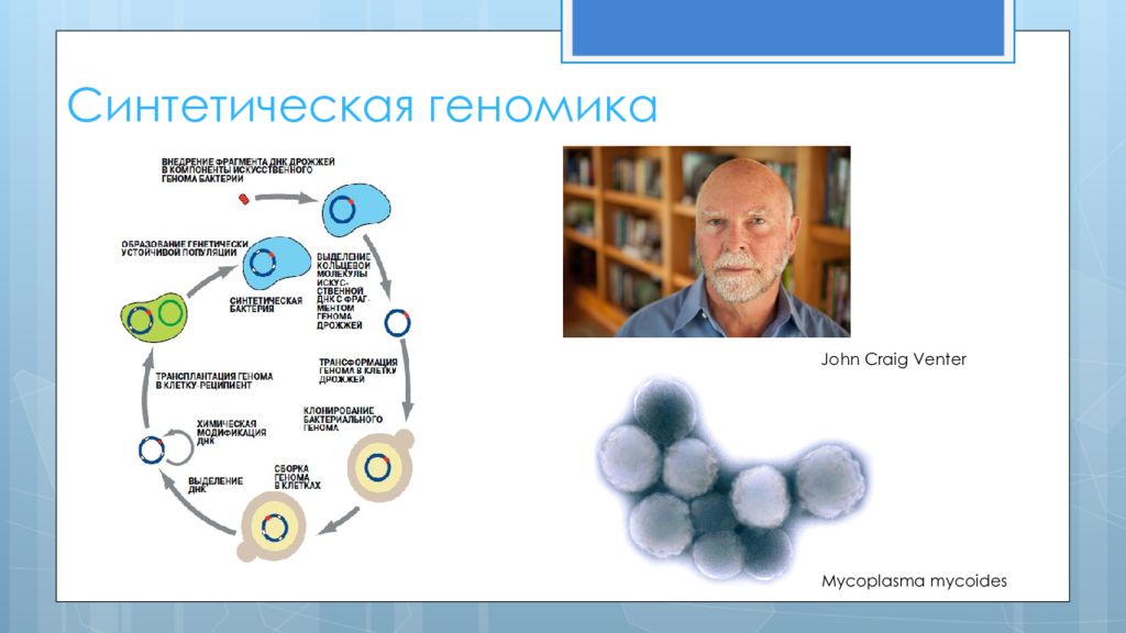 Полный геном. Синтетическая геномика. Презентация на тему геномика. Искусственный геном. Искусственная хромосома Крейг вентер.