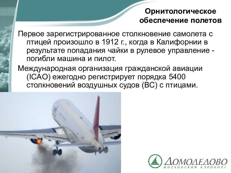 Обеспечение полетов. Обеспечение полетов воздушных судов. Орнитологическое обеспечение полетов. Обеспечение полета воздушного судна. Обеспечение полетов в гражданской авиации.