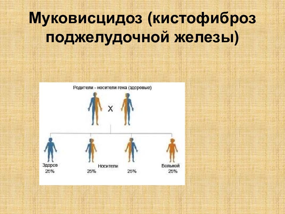 Муковисцидоз это. Муковисцидоз кистофиброз поджелудочной железы. Муковисцидоз (кистофиброз поджелудочной железы) наследования. Муковисцидоз хромосомная болезнь?.