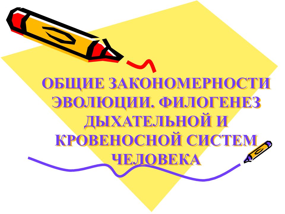 ОБЩИЕ ЗАКОНОМЕРНОСТИ ЭВОЛЮЦИИ. ФИЛОГЕНЕЗ ДЫХАТЕЛЬНОЙ И КРОВЕНОСНОЙ СИСТЕМ ЧЕЛОВЕКА