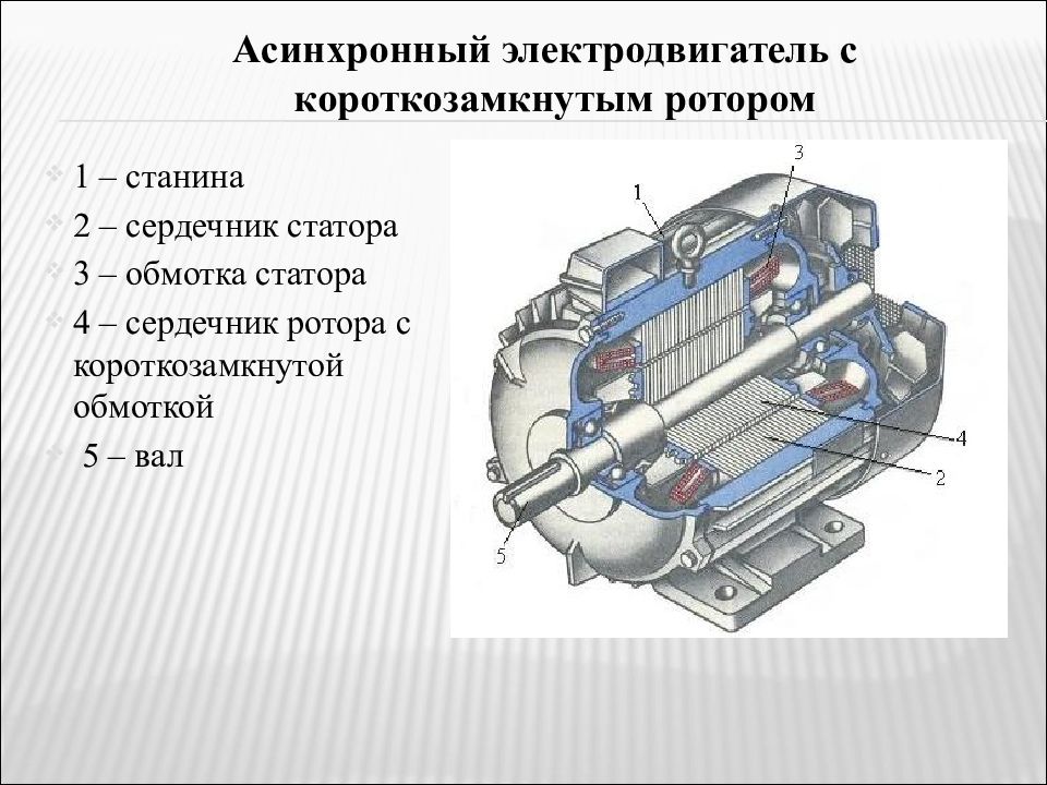 Расчет короткозамкнутого ротора