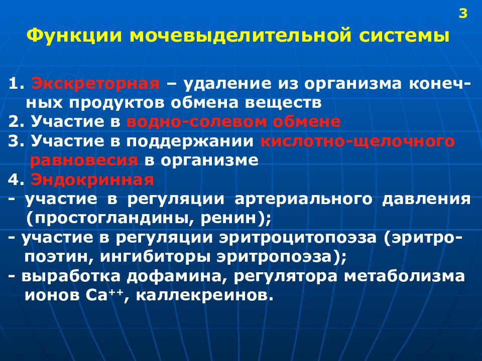 Строение и функции мочевыделительной системы 8 класс презентация