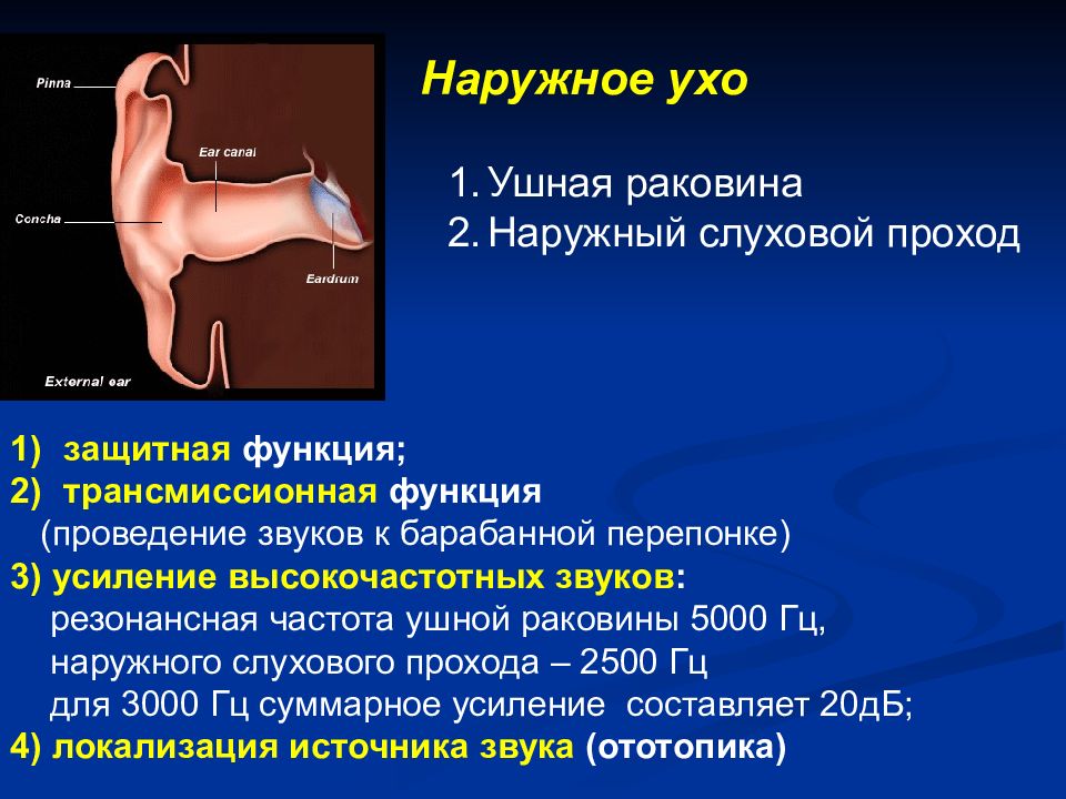 Методы исследования слухового анализатора презентация