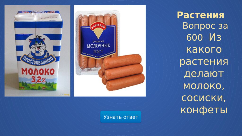 Мир весенней природы