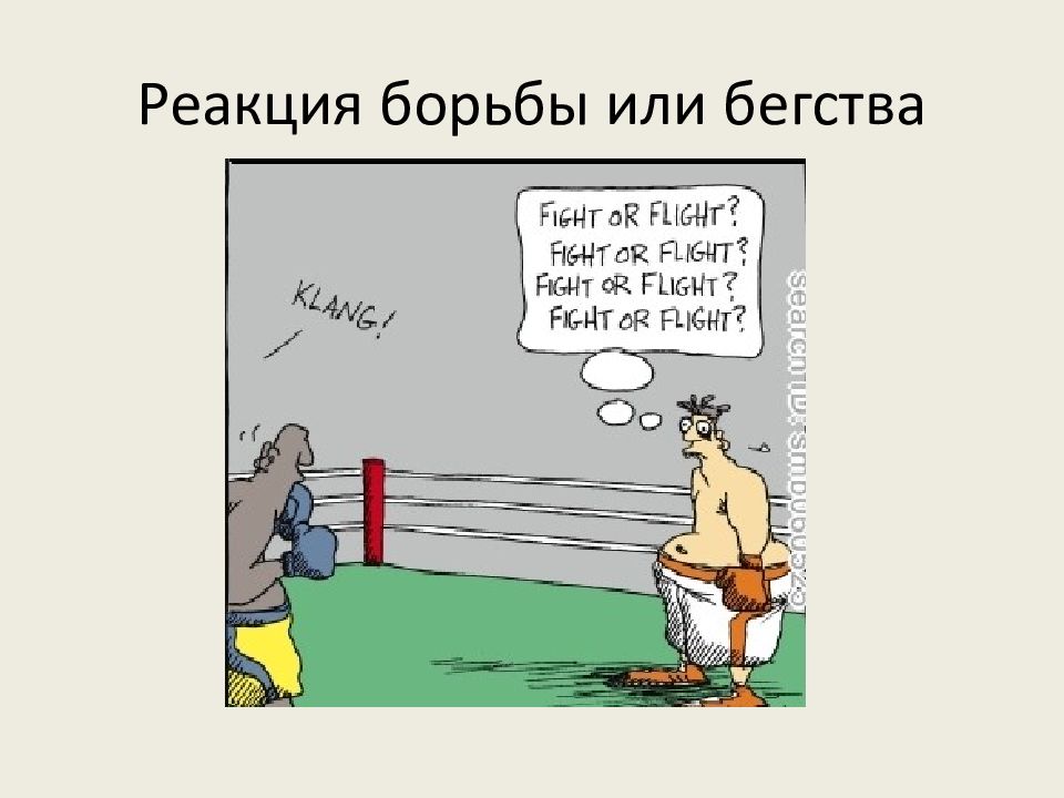 Борющегося или борящегося. Реакция борьбы или бегства. Реакция битвы бегства. Реакция бегства и реакция борьбы. Борются или борятся.