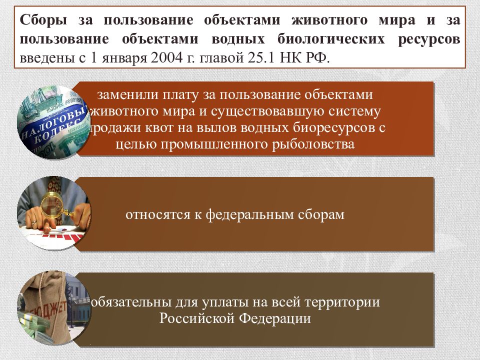 Сборы за пользование объектами. Объекты сбора за пользование объектами животного мира. Сборы за пользование объектами животного. Сборы за пользование объектами животного мира и водных ресурсов. Исчисление сбора за пользование объектами животного мира.