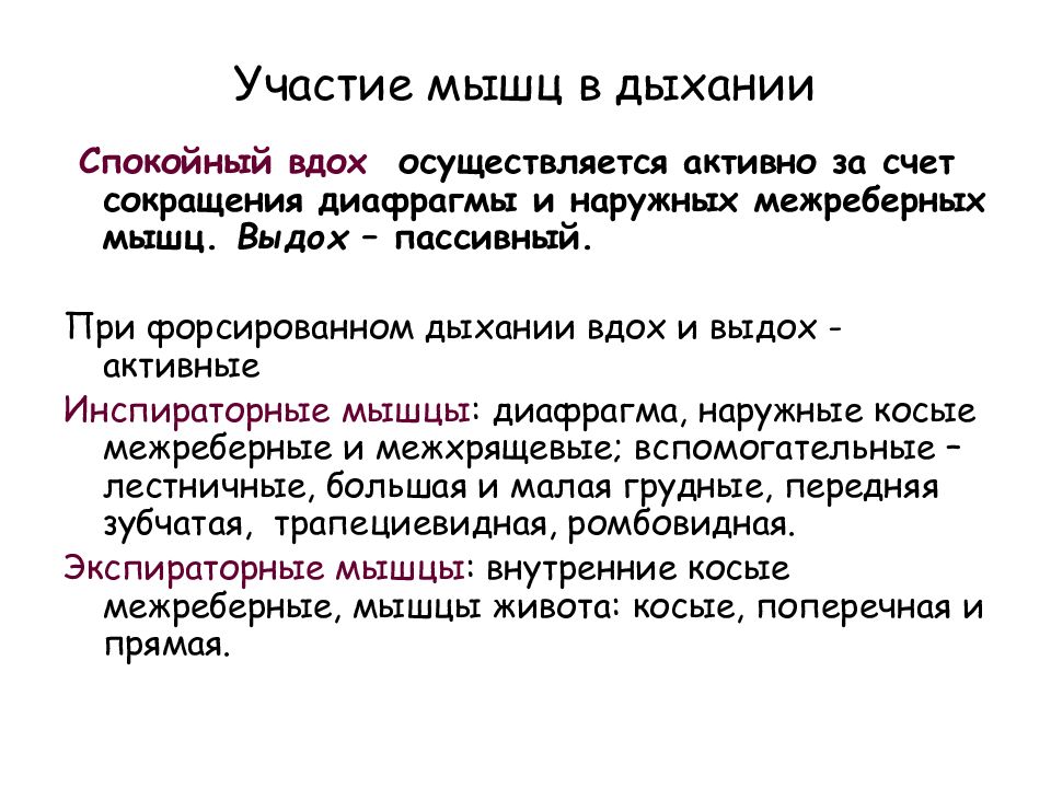 За счет мышц. Спокойный выдох осуществляется. Спокойный вдох осуществляется за счет. Спокойный вдох осуществляется за счет сокращения мышц. При спокойном дыхании выдох осуществляется:.