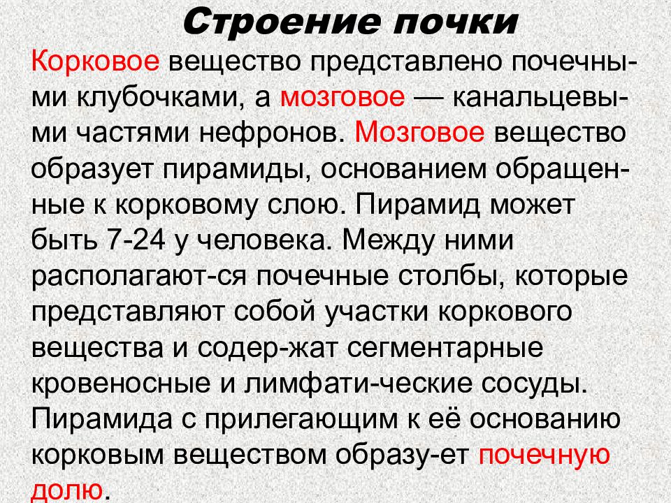 Вещество представляет собой. Что представляет собой субстанция.