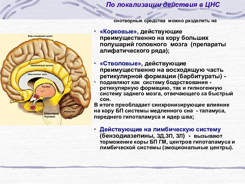 Противоэпилептические средства презентация