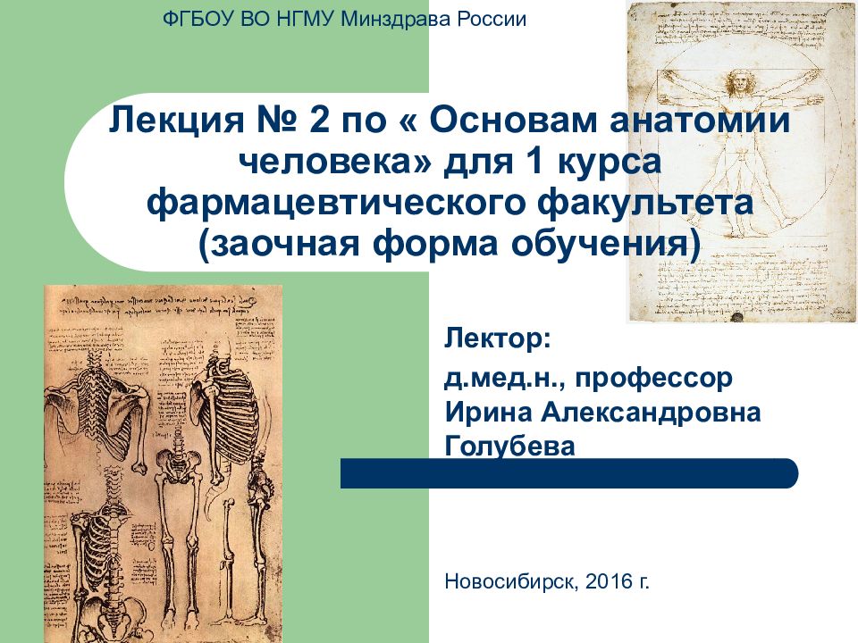 Лекция № 2 по « Основам анатомии человека» для 1 курса фармацевтического факультета (заочная форма обучения)