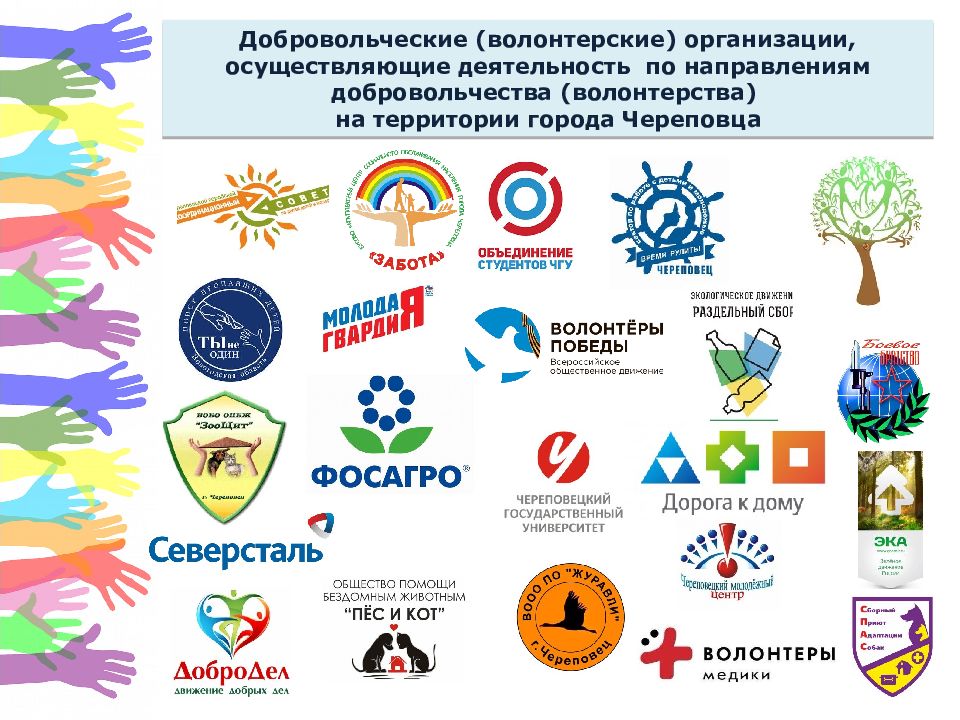 Список волонтерских организаций. Волонтёрские ораганизации. Организация Добровольческой деятельности. Волонтерские организации. Волонтёрские организации в России.