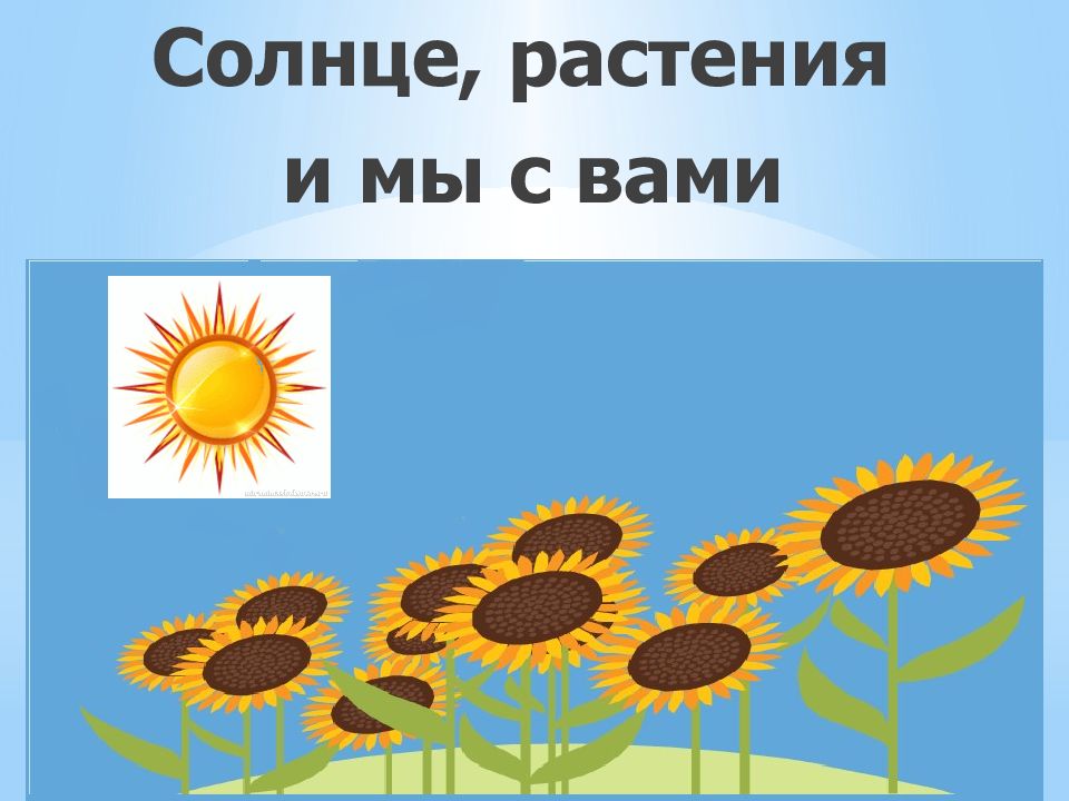 Солнце растения и мы презентация 3 класс. Солнце растения и мы с вами стр 43. Как связаны между собой солнце растения и люди. Как связаны между собой солнце растения и люди письменно.