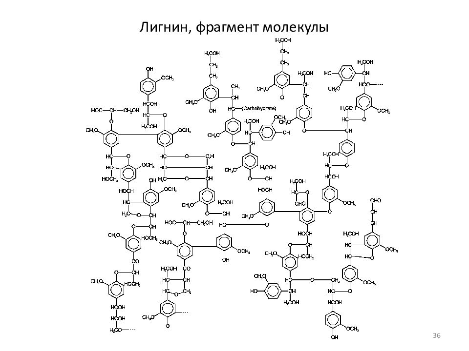 Фрагмент молекулы. Фенилпропановые единицы лигнина. Лигнин. Основные структурные единицы лигнина. Химическая природа лигнина.