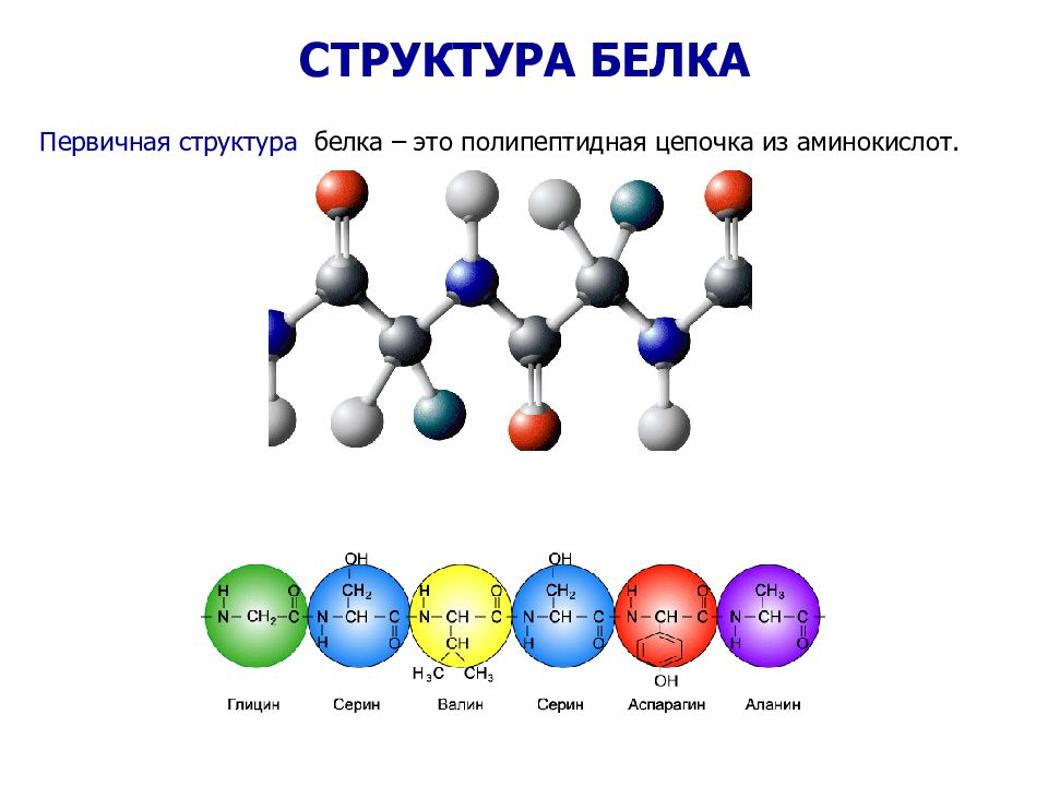 Аминокислоты это белки. Первичная структура полипептидной цепи. Аминокислоты и белки химия формула. Белки строение аминокислоты. Аминокислоты белков структура.