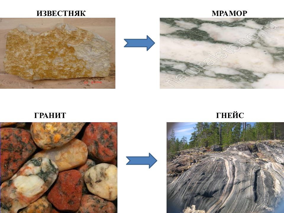 Какое происхождение имеют мрамор и гнейс. Гранит мрамор и известняк. Известняк мрамор. Графит мрамор известняк. Гранит и гнейс.