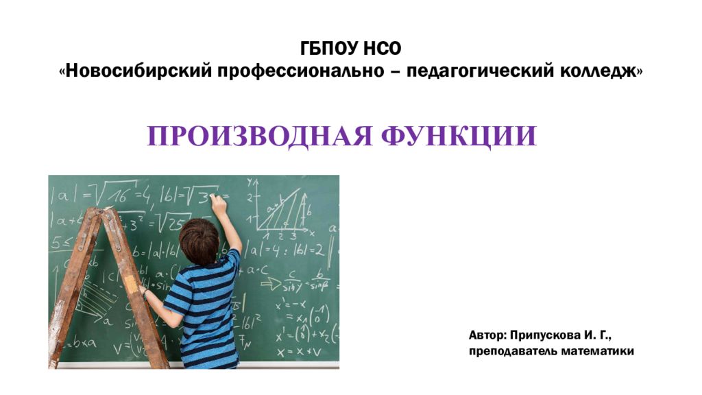 ГБПОУ НСО «Новосибирский профессионально – педагогический колледж»