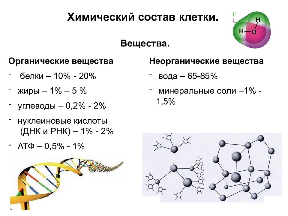 Химический состав клетки организма. Химический состав клетки 9 класс органические вещества. Органические вещества клетки конспект кратко. Органические вещества клетки химические соединения. Органические вещества клетки жиры, состав, строение, функции.