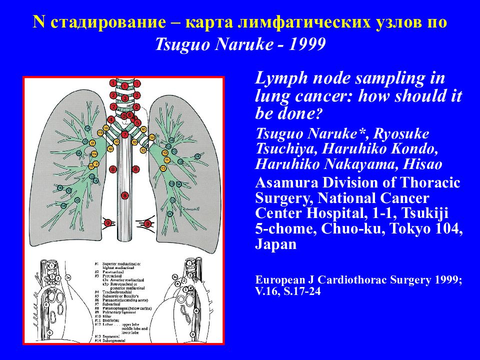 Лимфоузлы в легких причины. Лимфатические узлы легких. Регионарные лимфатические узлы легких. Региональные лимфатические узлы легкого. Лимфатические узлы в легких на кт.