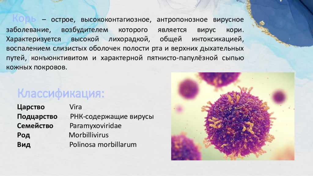 Вирус гибнет. Вирус кори классификация. Вирус кори презентация. Вирус кори размножается в:.