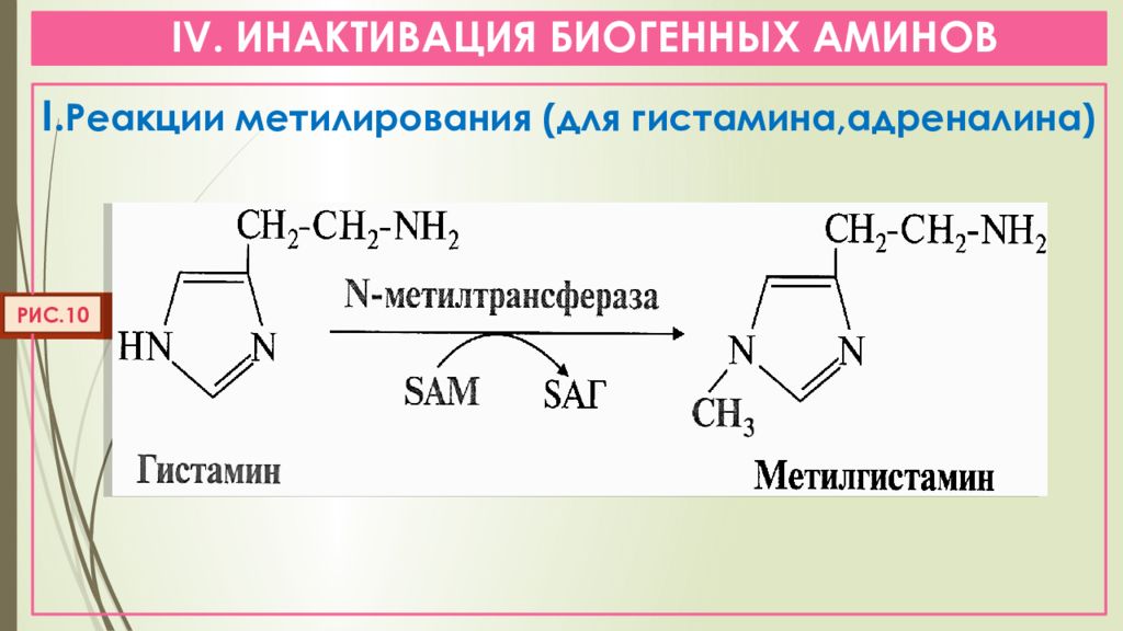 Инактивация вещества. Бромирование фурана. Нитрование фурана механизм. Дезаминирование гистидина реакция. Фуран и бром.