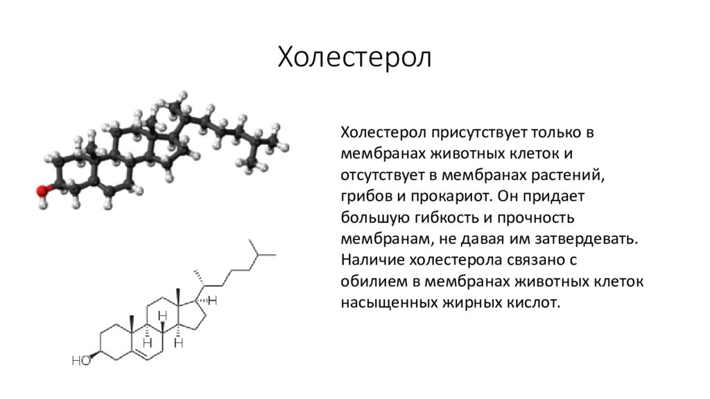 Холестерол