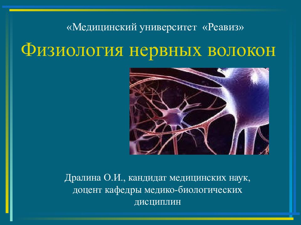 Физиология нервных волокон