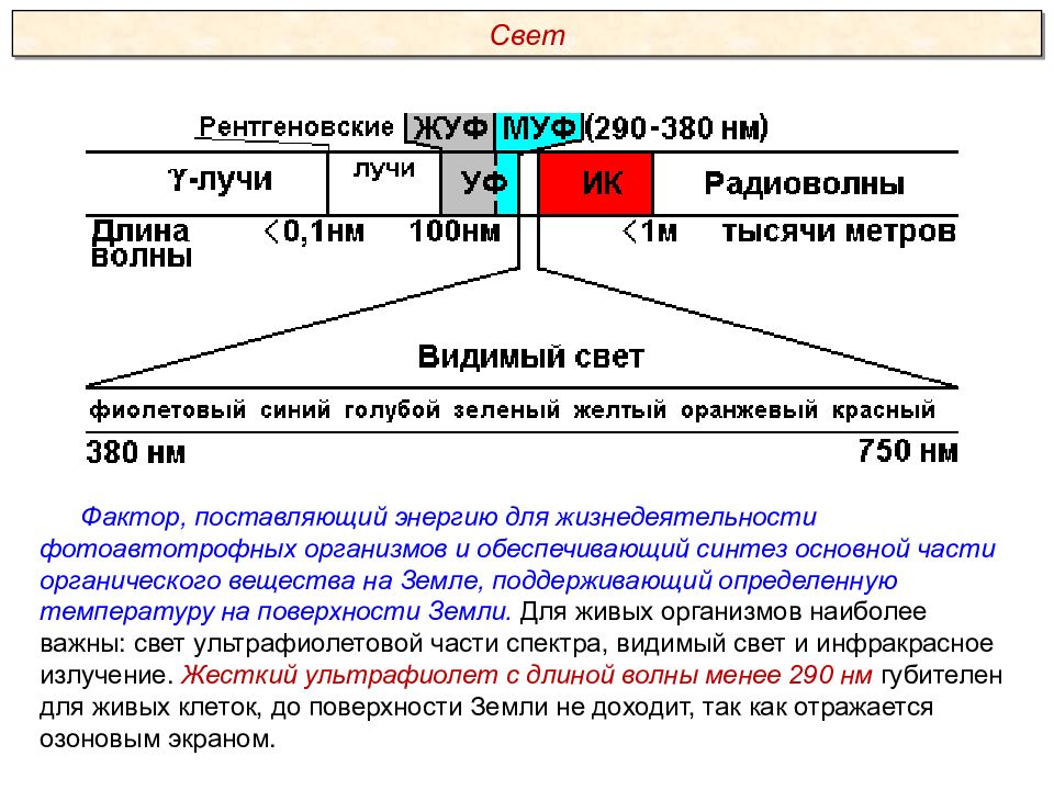 Почва как абиотический фактор презентация