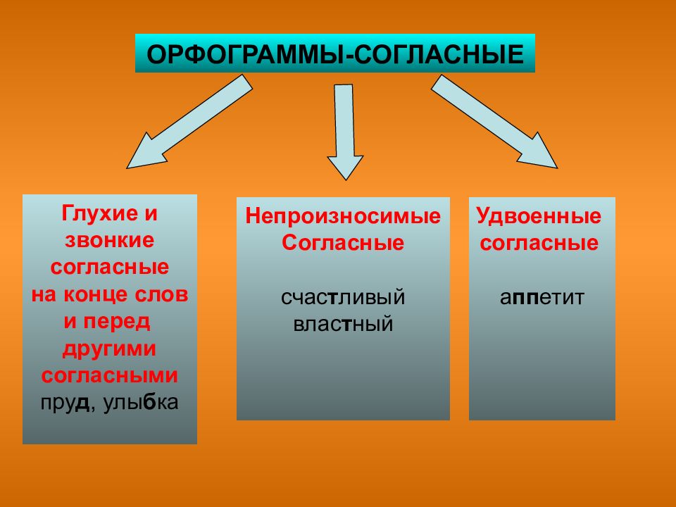 Повторение изученного в 5 классе орфография презентация