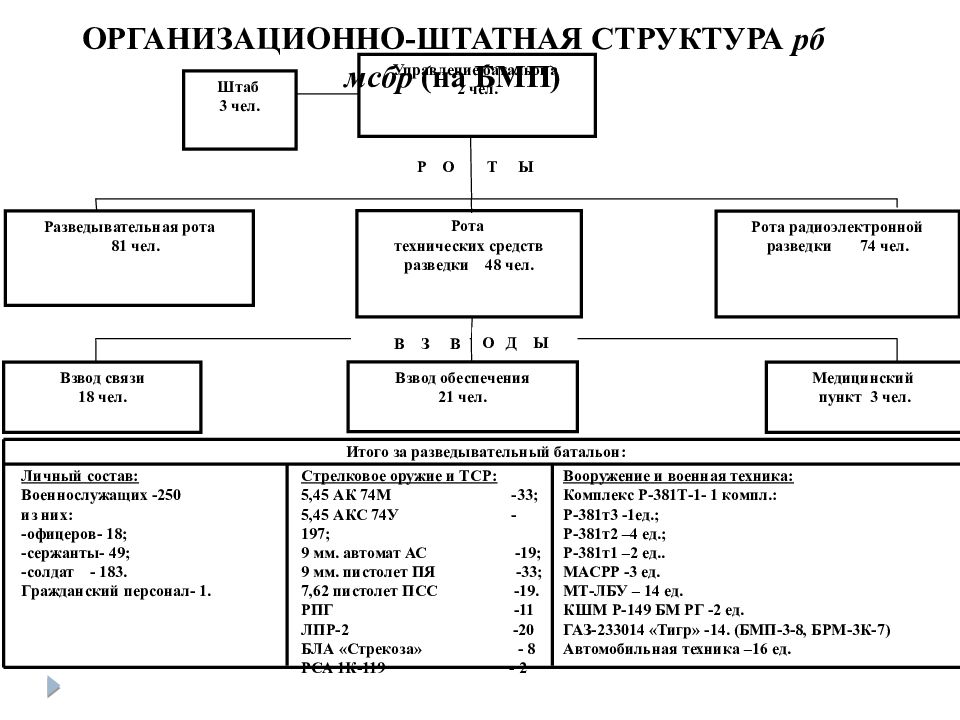 Организационно штатная структура в виде схемы