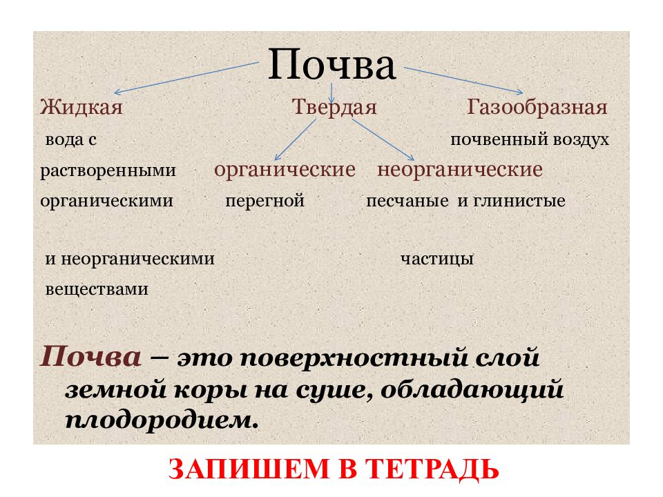 Почва 6 класс презентация домогацких