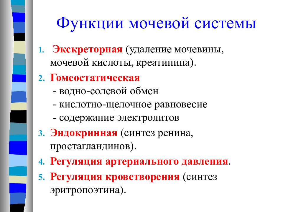 Какие функции выполняет процесс. Функции мочевыделительной системы. Функции мочевой системы. Основная функция мочевыделительной системы. Функции мочевыводящей системы.