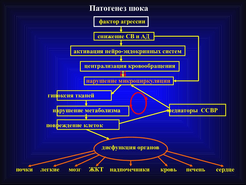 Коллапс патофизиология презентация