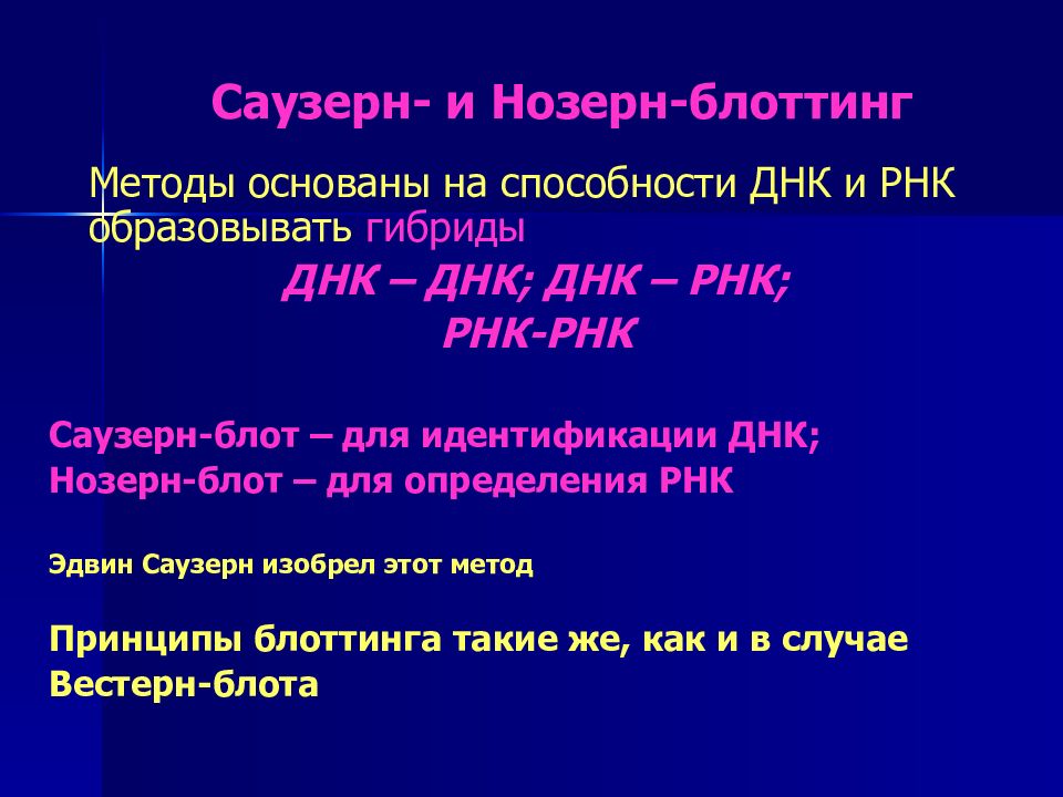 Днк способности. Методы исследования ДНК И РНК. Нозерн блоттинг метод. Блоттинг нуклеиновых кислот. Изучение нуклеиновых кислот метод.