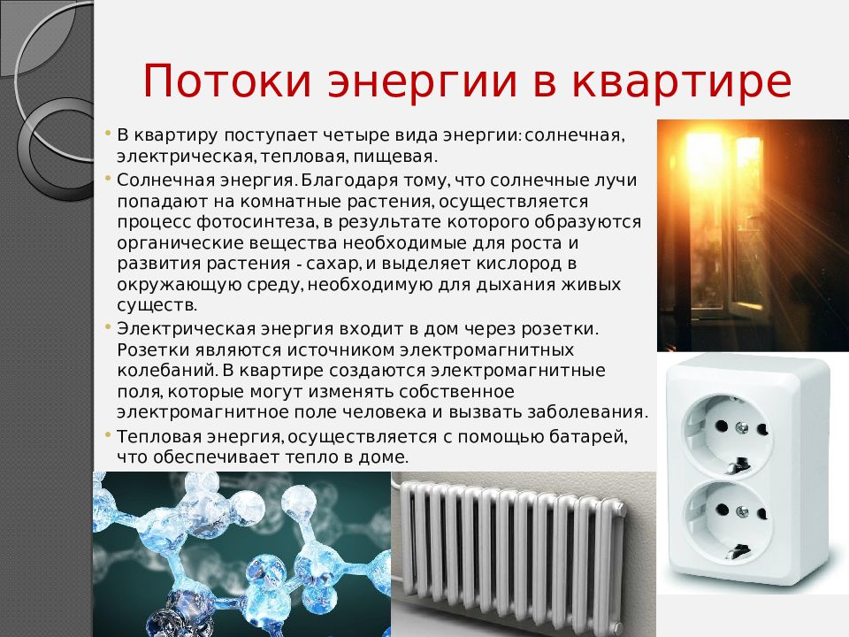 Квартира как экосистема презентация