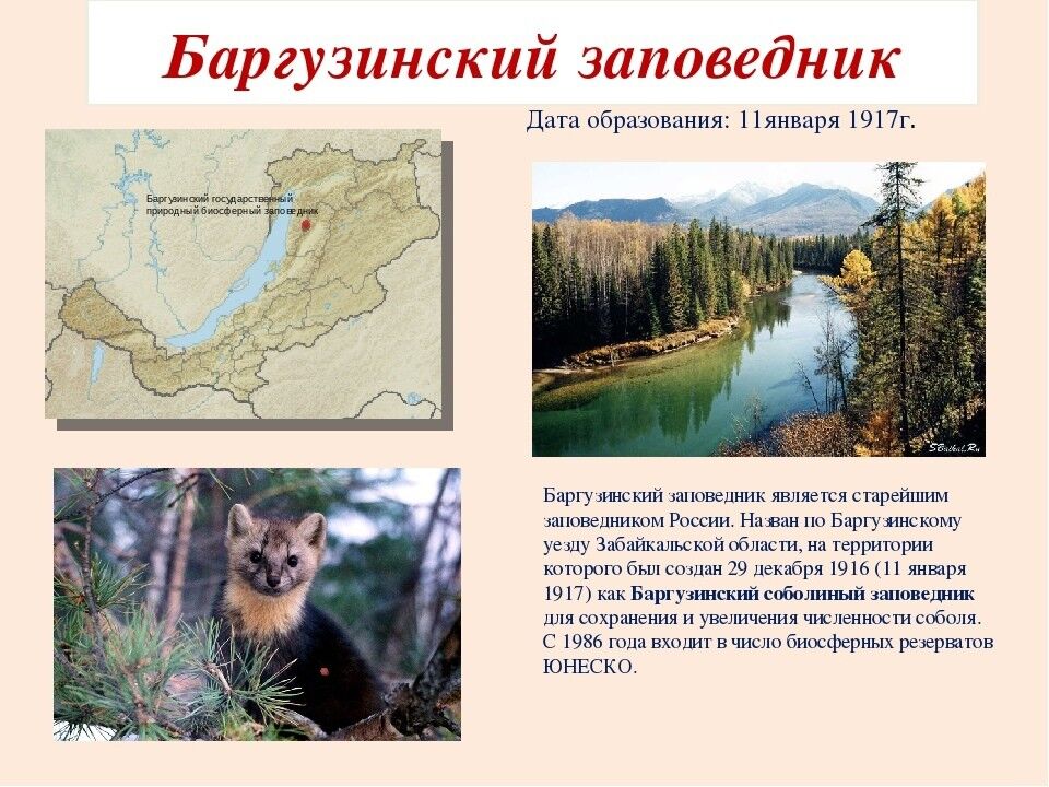 ОХРАНА РАСТИТЕЛЬНОГО МИРА