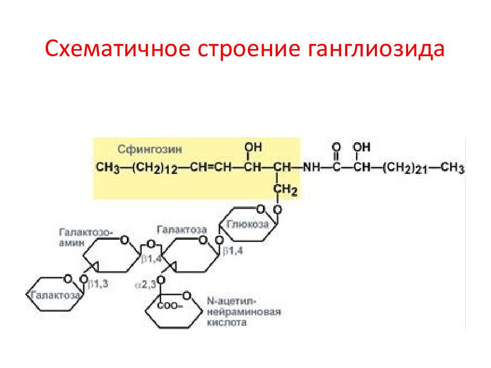 Схематичное строение